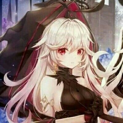 老虎伍兹卷入车祸被捕